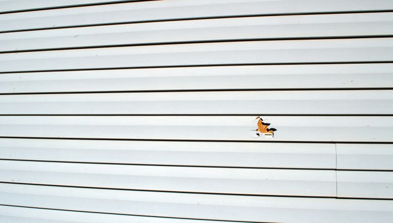 Siding and Exterior Repairs