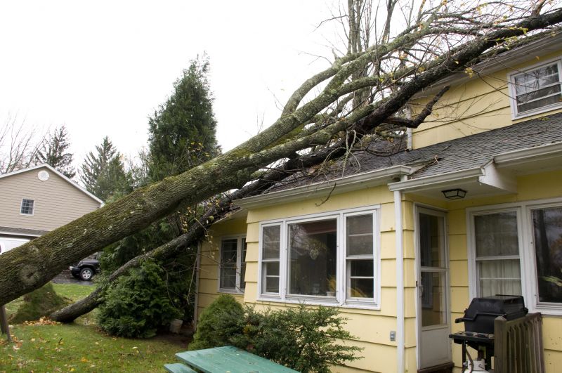 Storm Damage Restoration Service