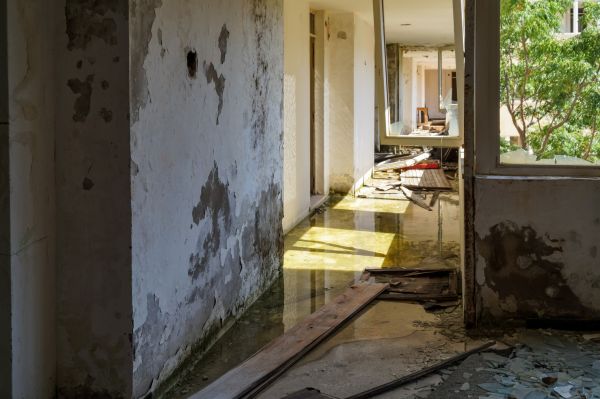 Water Removal Service in Bonita Springs